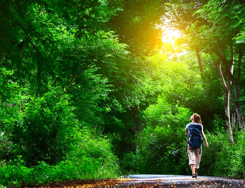 Woman walking on a beautiful green nature trail
