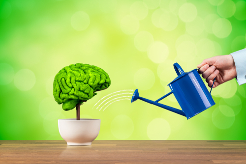 Improved brain function concept