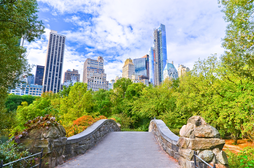 View from Central Park in New York city