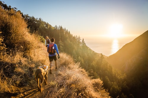 Hiking with dog at sunrise
