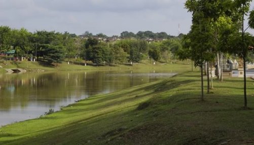 Taman Tasik Cempaka Malaysia Park Lake and Trees