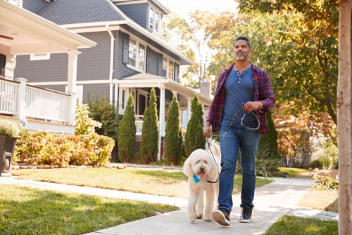 Man walking dog on a suburban street