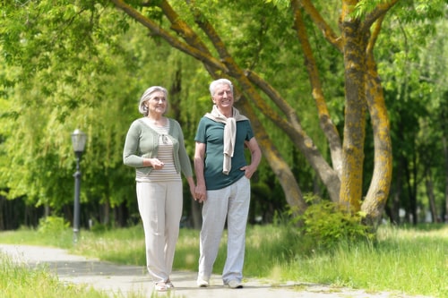 Senior couple walking in a green park